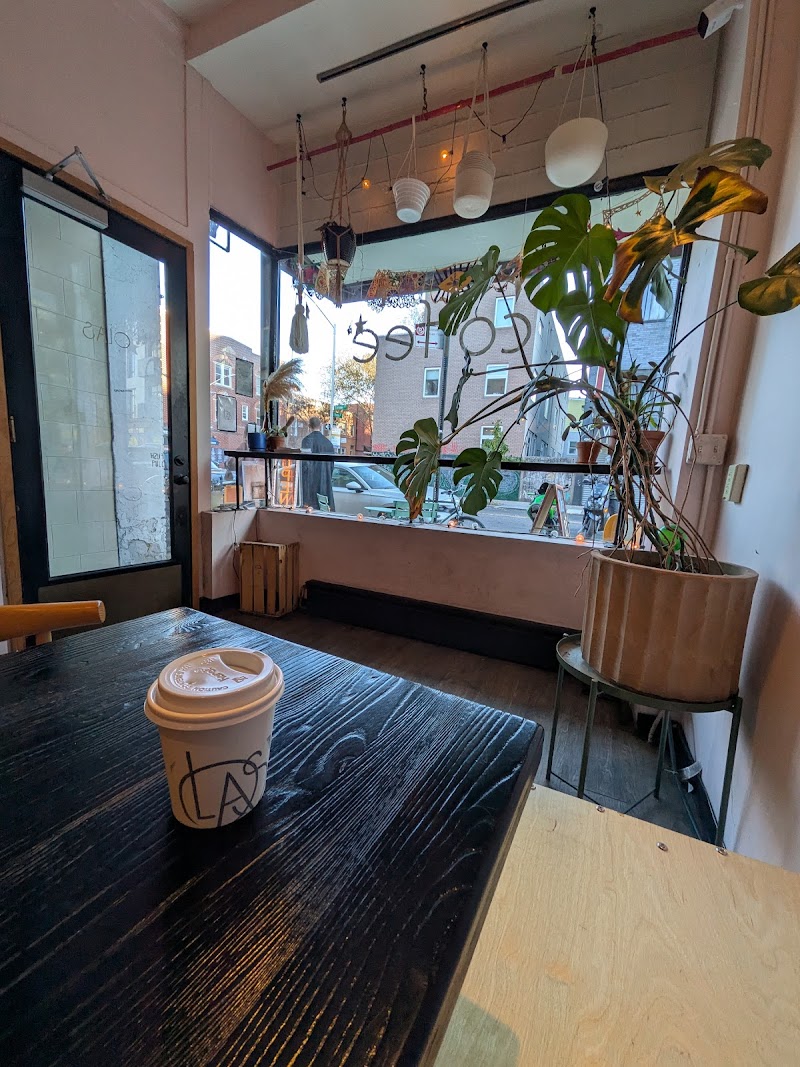 Olas Coffee Company 3