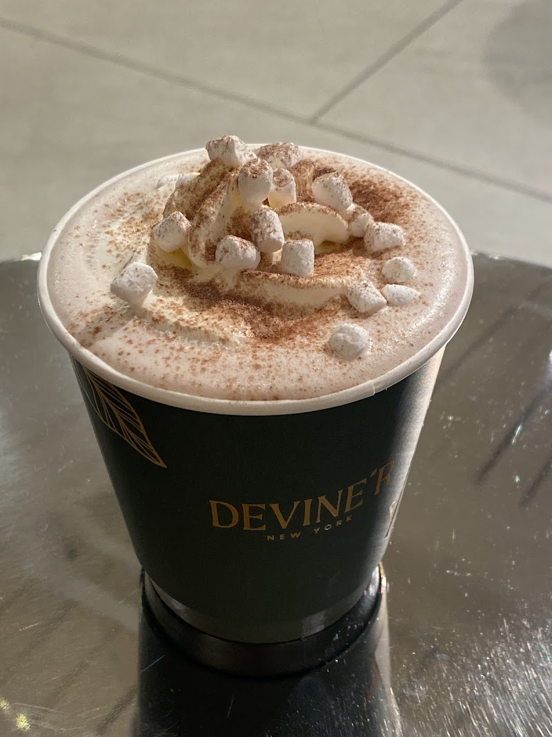 Devine’r 2