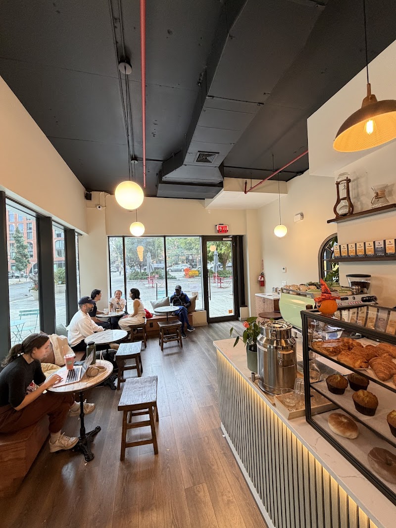 Coffee Land 4