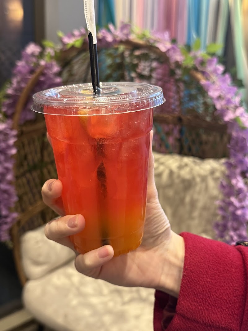 Purple Rainbow Cafe 2