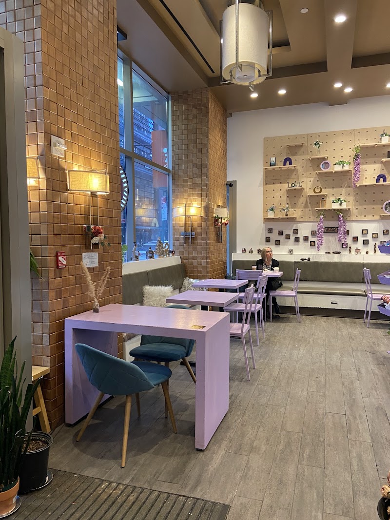 Purple Rainbow Cafe 4