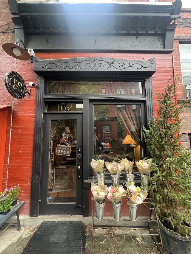 Flower Cat coffee shop in Brooklyn