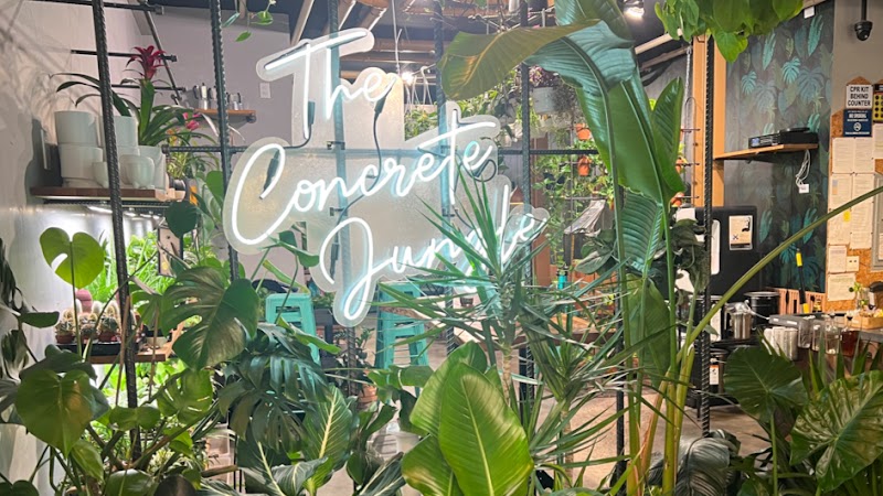 The Concrete Jungle 4